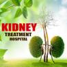 Kidney treatment in Ayurveda