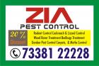 Pest Control Treatment | Bed Bug Service 20% Discount | 1517 |