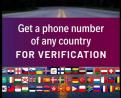 I will provide you with a phone number of any country for verification