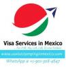 H1B Visa Stamping in Mexico | US Visa Fee Payment | US Visa Application Fee Payment