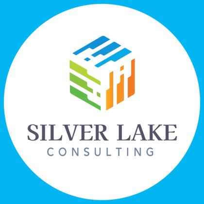 Get help with APA dissertation editing service | Silver Lake Consulting