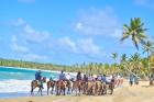 Get the Best Tours In Punta Cana