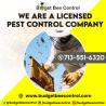 Safe Live Bee Removal Service in Houston
