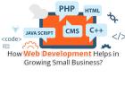 Website Development Company in| USA, Canada, Singapore