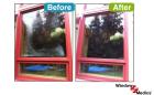How To Start a Window Installation and Repair Business?