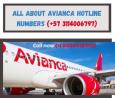 All About Avianca Hotline Numbers