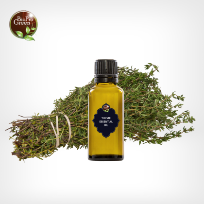 Thyme Natural Herb