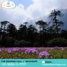 BOOK NORTH SIKKIM PACKAGE TOUR PACKAGES AT BEST PRICE | CALL +91-9836117777