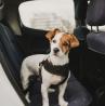 Dog Car Seatbelt