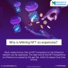 Get NFT Minting Platform Development Services at competitive prices
