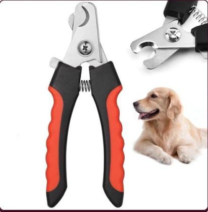 Buy pet products online