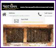 Bee Hives and Swarms Removal Services in Mission Viejo