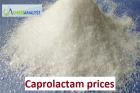 Caprolactam prices Trend and Forecast