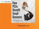 PEO Consulting Firm