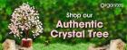 Shop our Authentic Crystal Tree