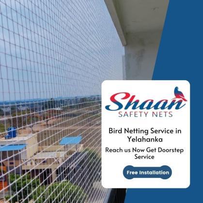 Bird Neting Service in Yelahanka