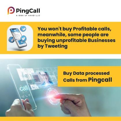 Get Free Clients Straight to your Sales Funnel- Contact Ping Call Experts for High Conversion Leads