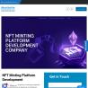 Get NFT Minting Platform Development Services with us
