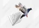 Pigeon Netting Services In Pune