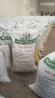Seed Inoculants For Maize