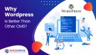 Why WordPress Is Better Than Other CMS? - Amigoways