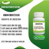 Herbal Remedies for Bronchiectasis