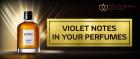 Know about the violet notes in your perfumes