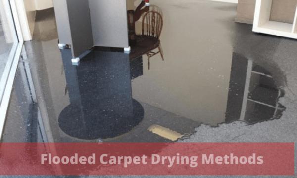 Flood Damage Restoration Melbourne | Water Damaged Carpet Cleaning