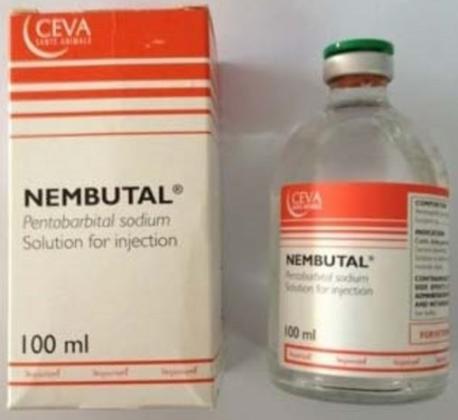 Get Pure Sodium Pentobarbital