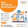 Best WordPress Development Company for Businesses in India