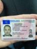 Buy Drivers License Online and Legally Use it