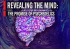 Buy Psychedelic products Online (Ketamine, DMT, Mescaline powder and more)