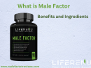 What is Male Factor: Benefits and Ingredients