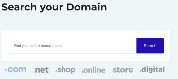 Find and purchase available domain names with Tech ICS