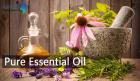 Aarnav Global Exports – Pure Essential Oil Manufacturers Online at best prices