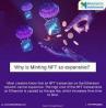 Mobiloitte's NFT Minting Development - The Future of Digital assets
