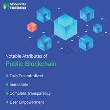 Connect with Mobiloitte for Public Blockchain Development Services