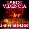 Best psychic̲s and tarot readers