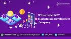 Guide For White Label NFT Marketplace Developments