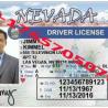 Minnesota Drivers License