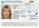Montana Drivers License