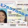 North Carolina Drivers License