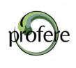 Profere in-home massage and lymphatic drainage