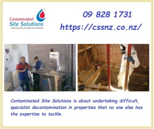 Affordable Fire Restoration & Damage Cleaning Services in Auckland