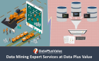Data Mining Expert Services at Data Plus Value