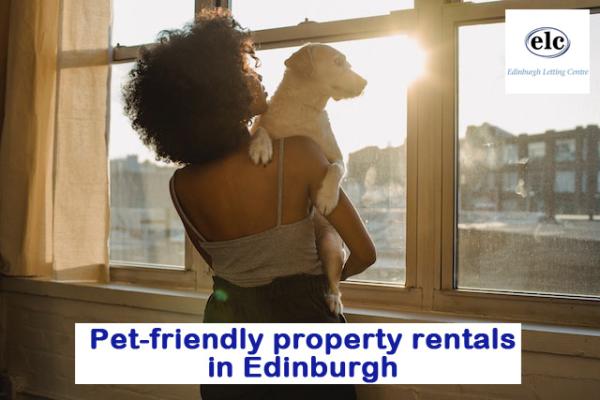 Pet-Friendly Long-Term Rentals Edinburgh | Pet-Friendly Property in Edinburgh
