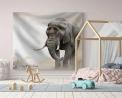 Buy animal wall art online