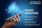 Contact Mobiloitte for Private Blockchain Development Solutions