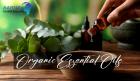 Find the Best Online Prices Here For Pure Organic Essential Oils - Aarnav Global Exports