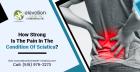 How Strong Is The Pain In The Condition Of Sciatica?